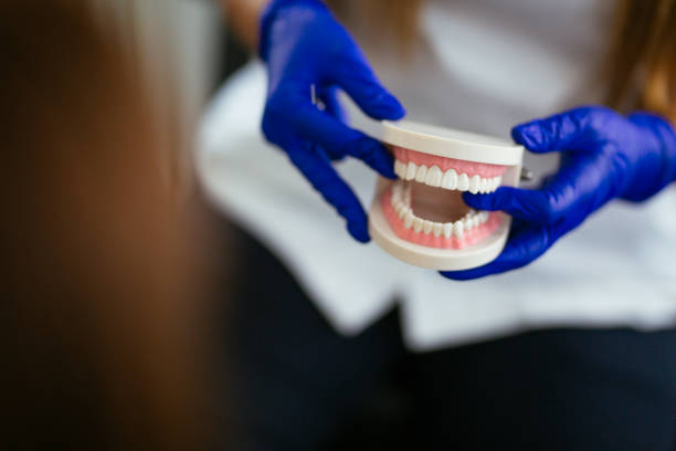 Professional  Holistic Dental Services in Leisure Knoll, NJ